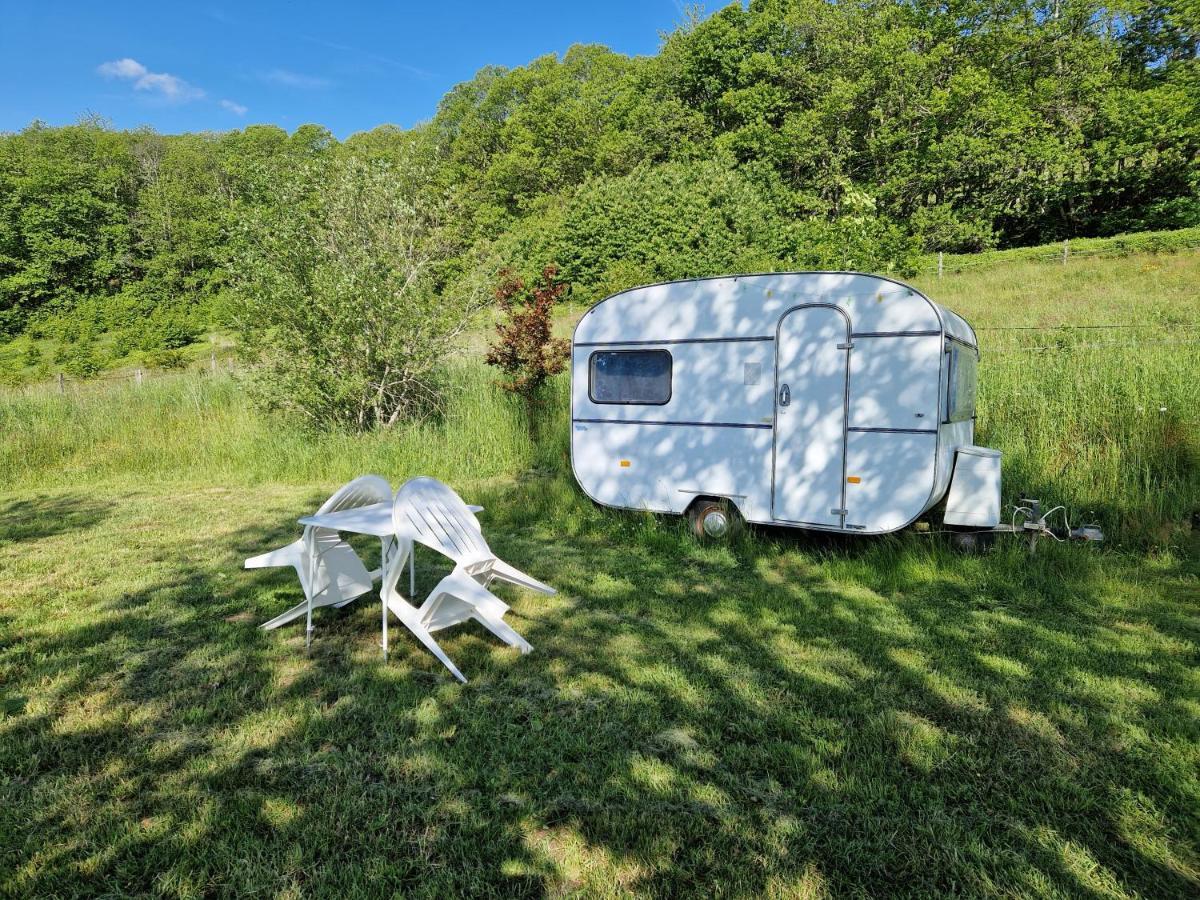 Camping La Foret Du Morvan Vintage Caravan Larochemillay Exterior photo